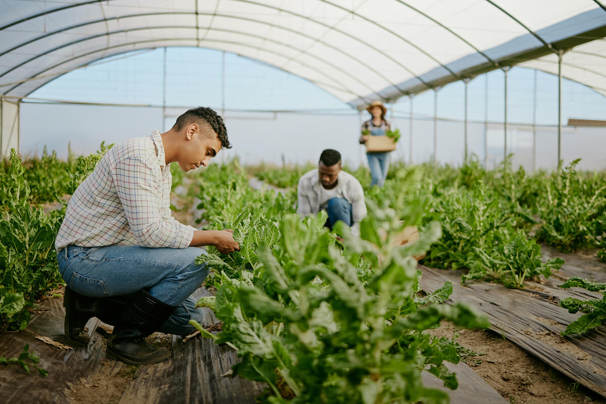 its-takes-time-and-hard-work-shot-of-a-group-of-fa-58LNMSX