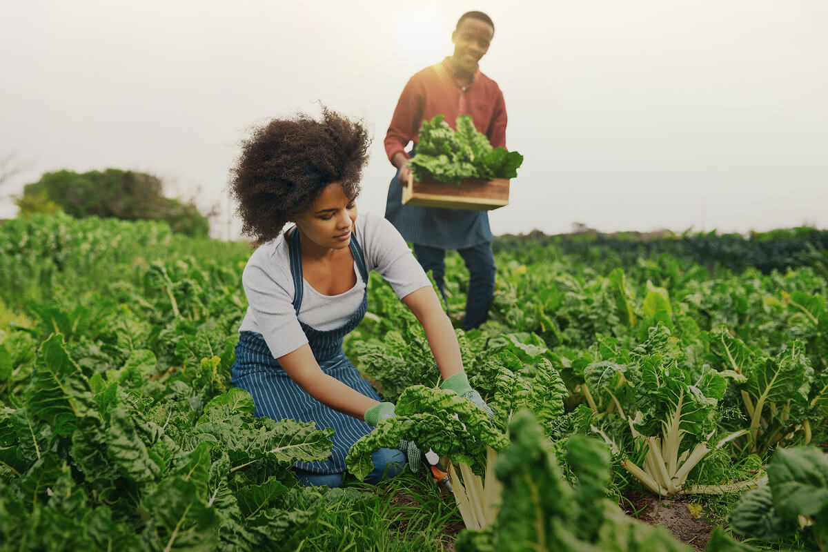 shot-of-an-attractive-young-female-farmer-working--4JFH4MS